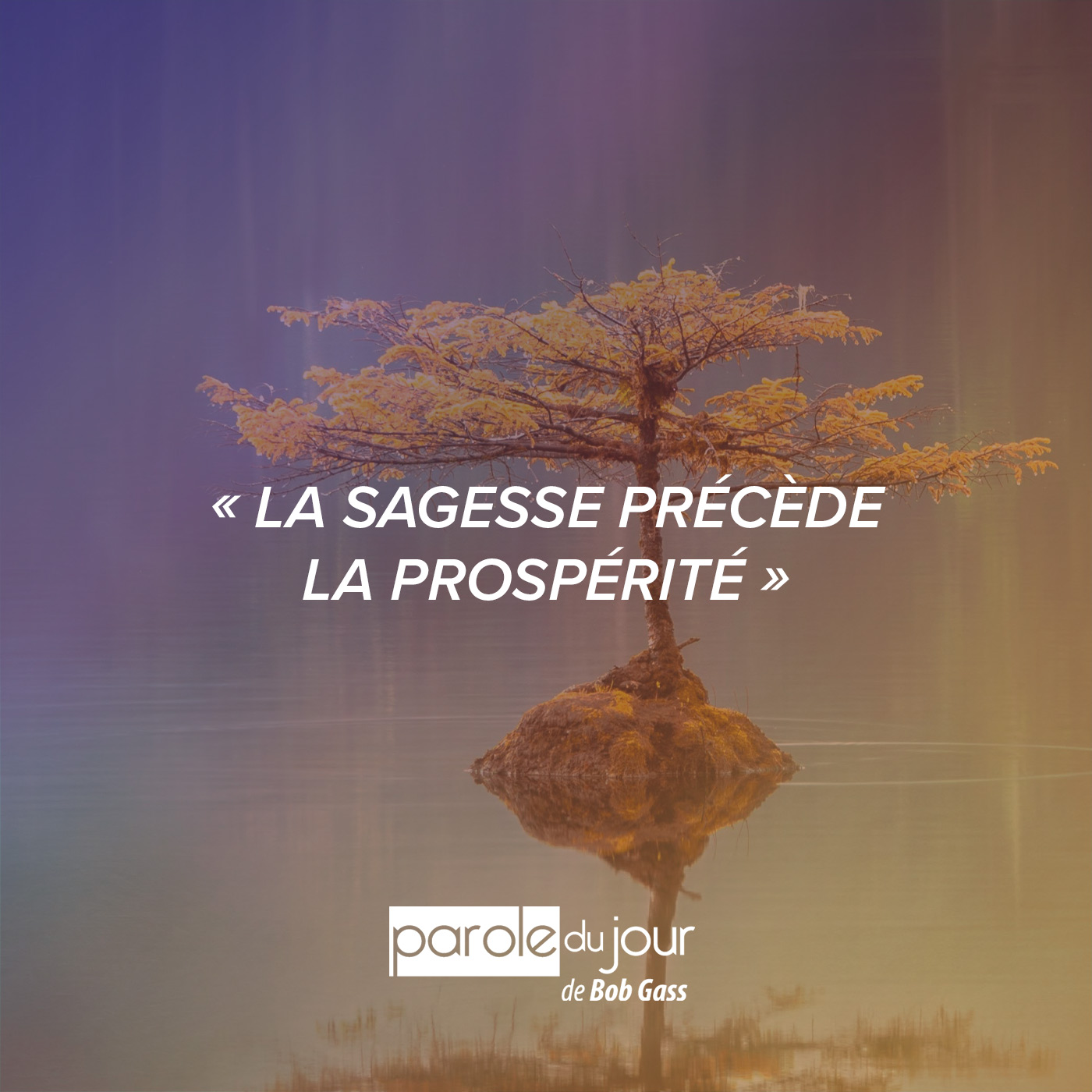 L Or Et L Argent Appartiennent à Dieu
