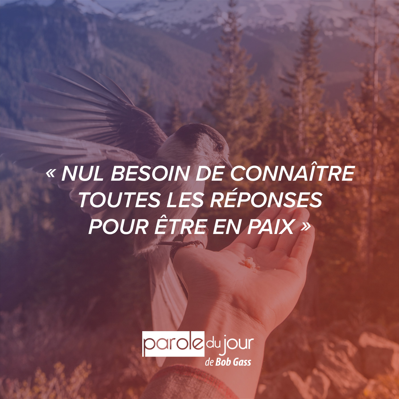 Y trouver la « paix » de Dieu Parole du Jour