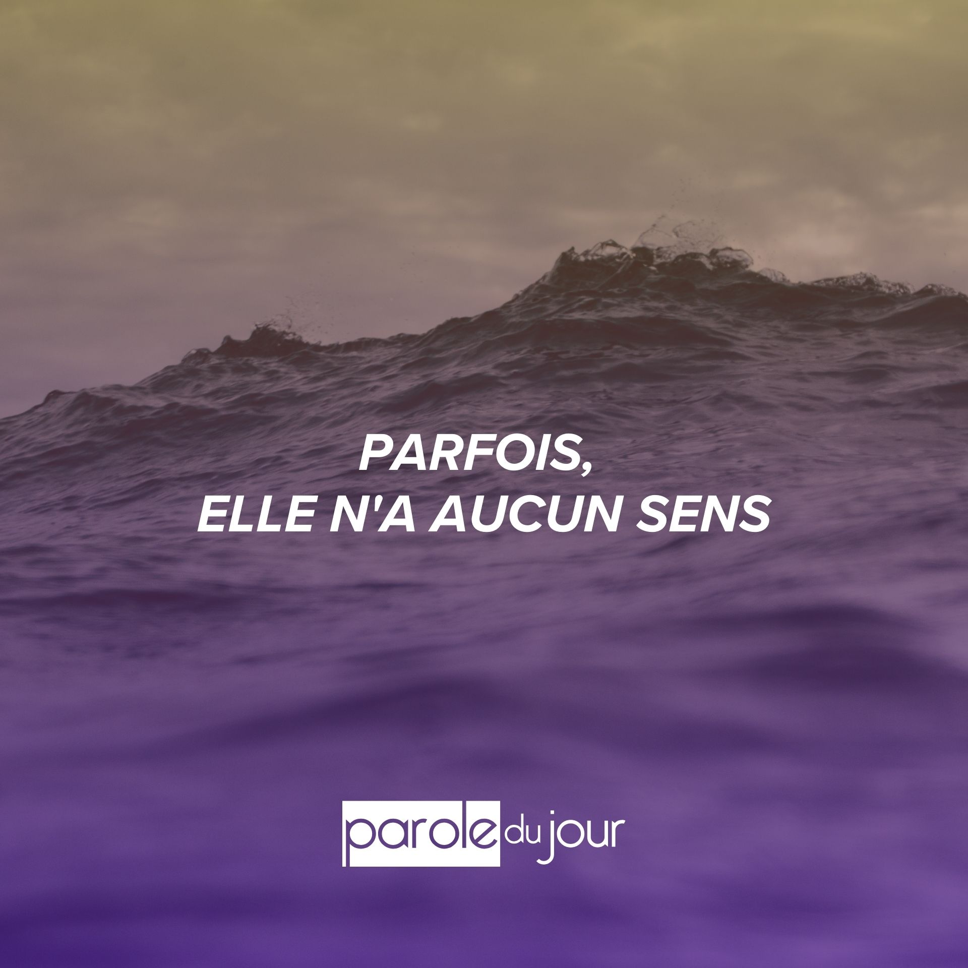 Un jour je saurai tout