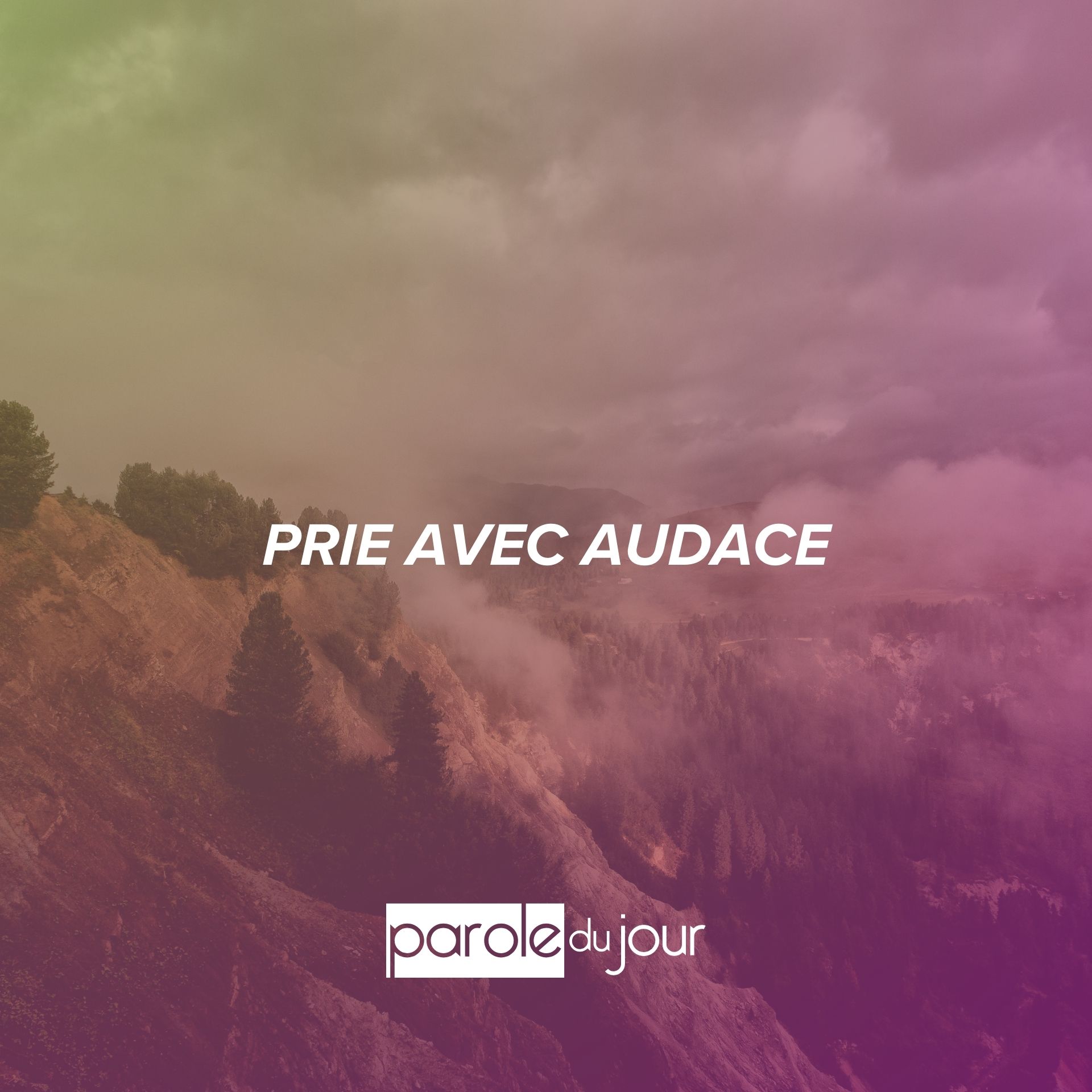 Voir plus grand Voir plus grand